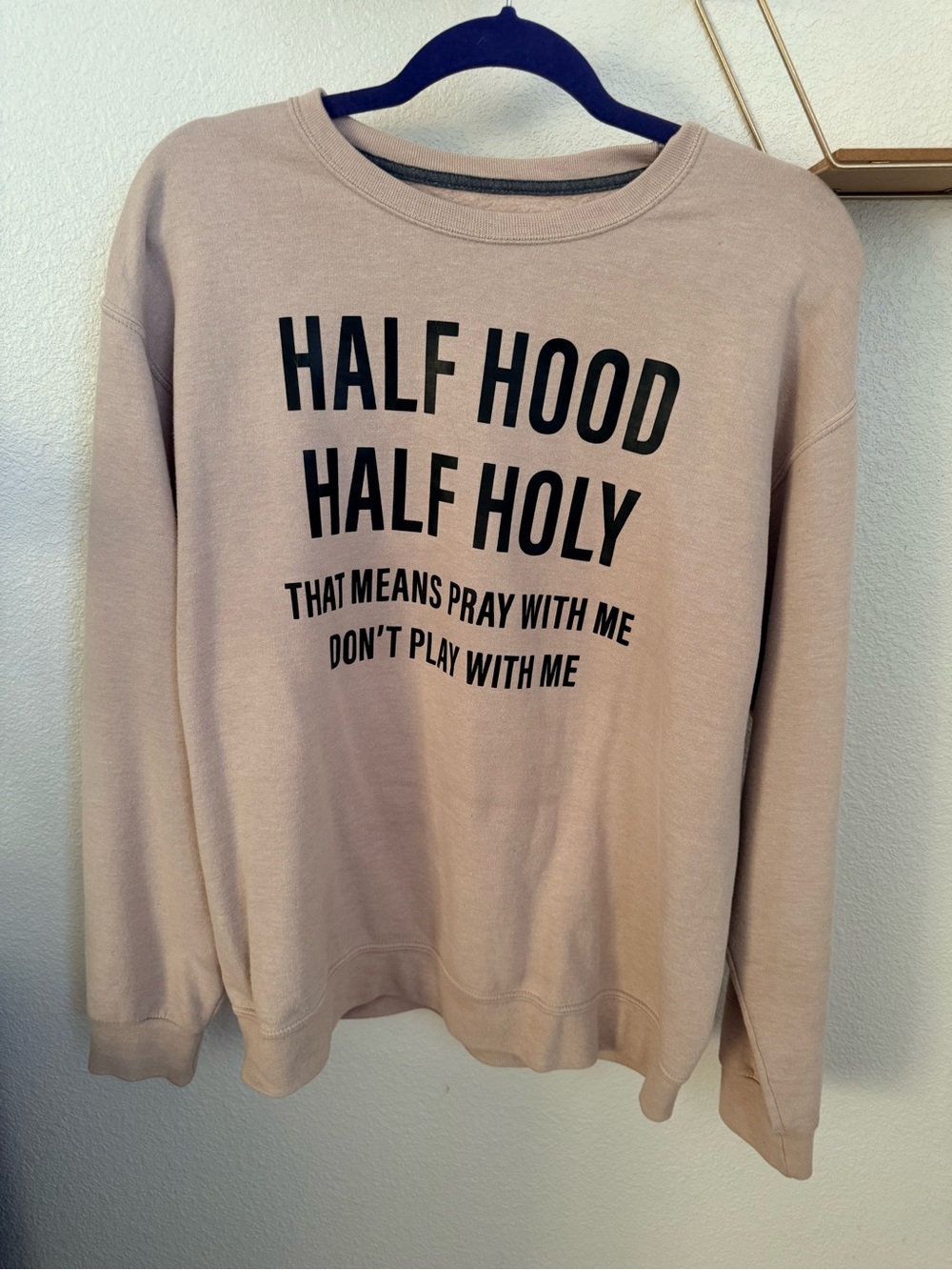 Half Hood Half Holy Graphic Sweatshirt - Neutral Blush